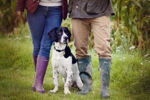 lifestyle pet and dog photography outdoors and at home in Milton Ketnes, Buckingham, Towcester, Leighton Buzzard and surrounding areas