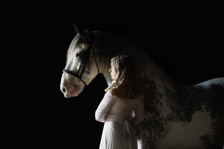 Buckingham-horse-photography-134