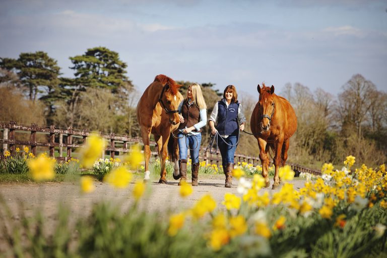 Daffodils line the driveway of this Buckinghamshire equestrian centre which was the setting for this mother and daughter and their two horses