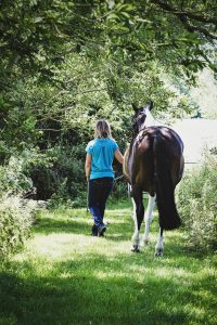 A rider leads her horse back to his Oxfordshire paddock along a grassy track line by Spring flowers