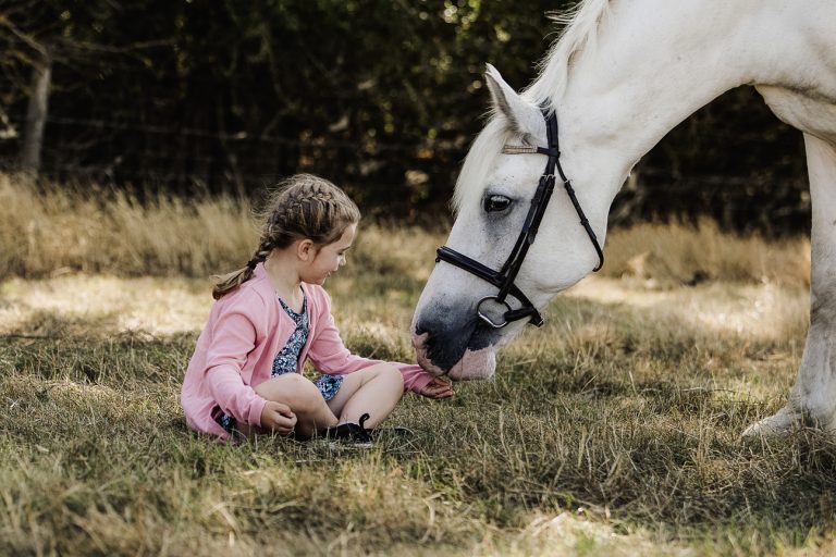 Little girl sits cross legged in front of her mother's horse who is sniffing her hand