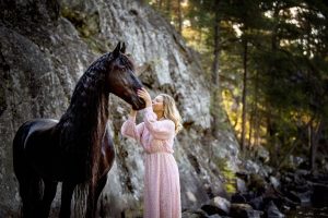 Friesian horse photographed in the woods