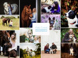 Horse and dog photography Buckinghamshire and Nationwide